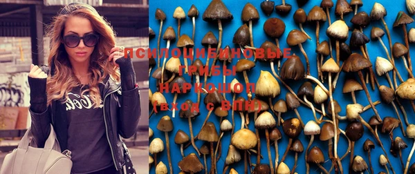 метадон Снежинск