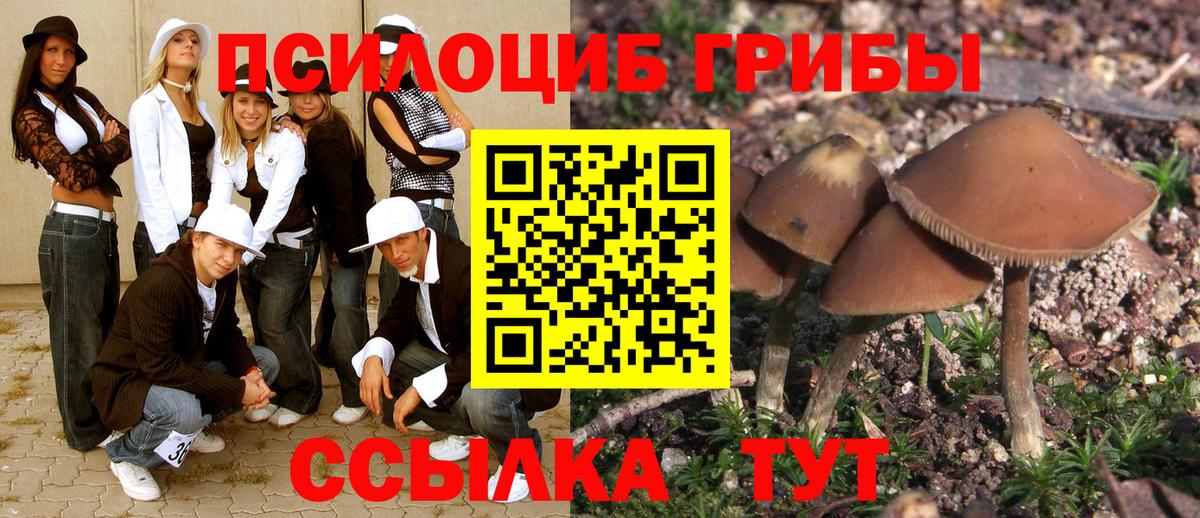 сколько стоит  Вход с VPN  Псилоцибиновые грибы GOLDEN TEACHER  Костомукша  Галлюциногенные грибы ЛСД 